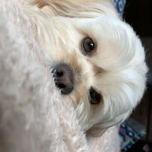 Meet your Posher, Mallory